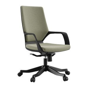 صندلی کارشناسی نظری مدل آپولو E350